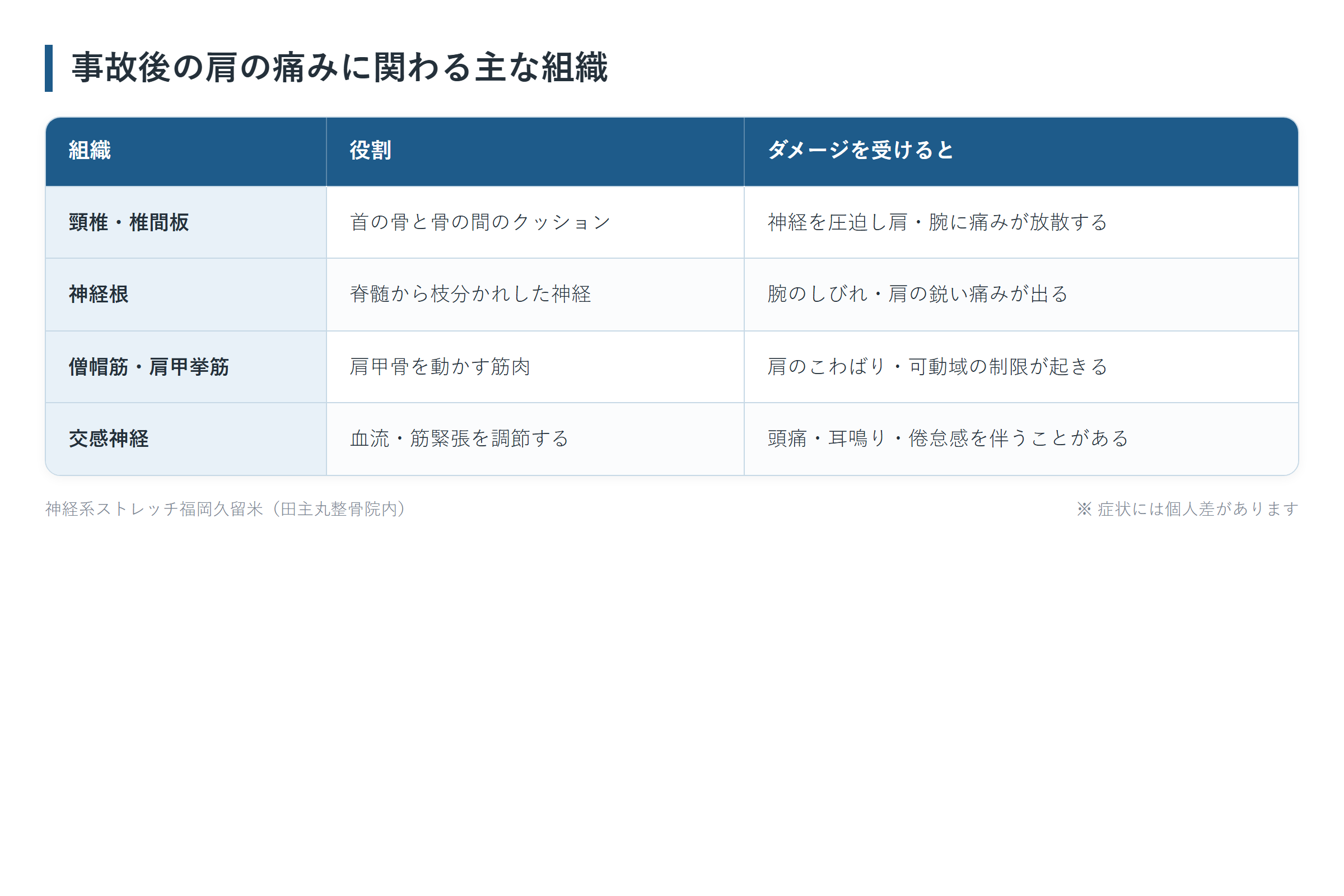事故後の肩の痛みに関わる主な組織の一覧表。頸椎・椎間板、神経根、僧帽筋・肩甲挙筋、交感神経の4パターンについて、役割とダメージを受けるとをまとめた図。