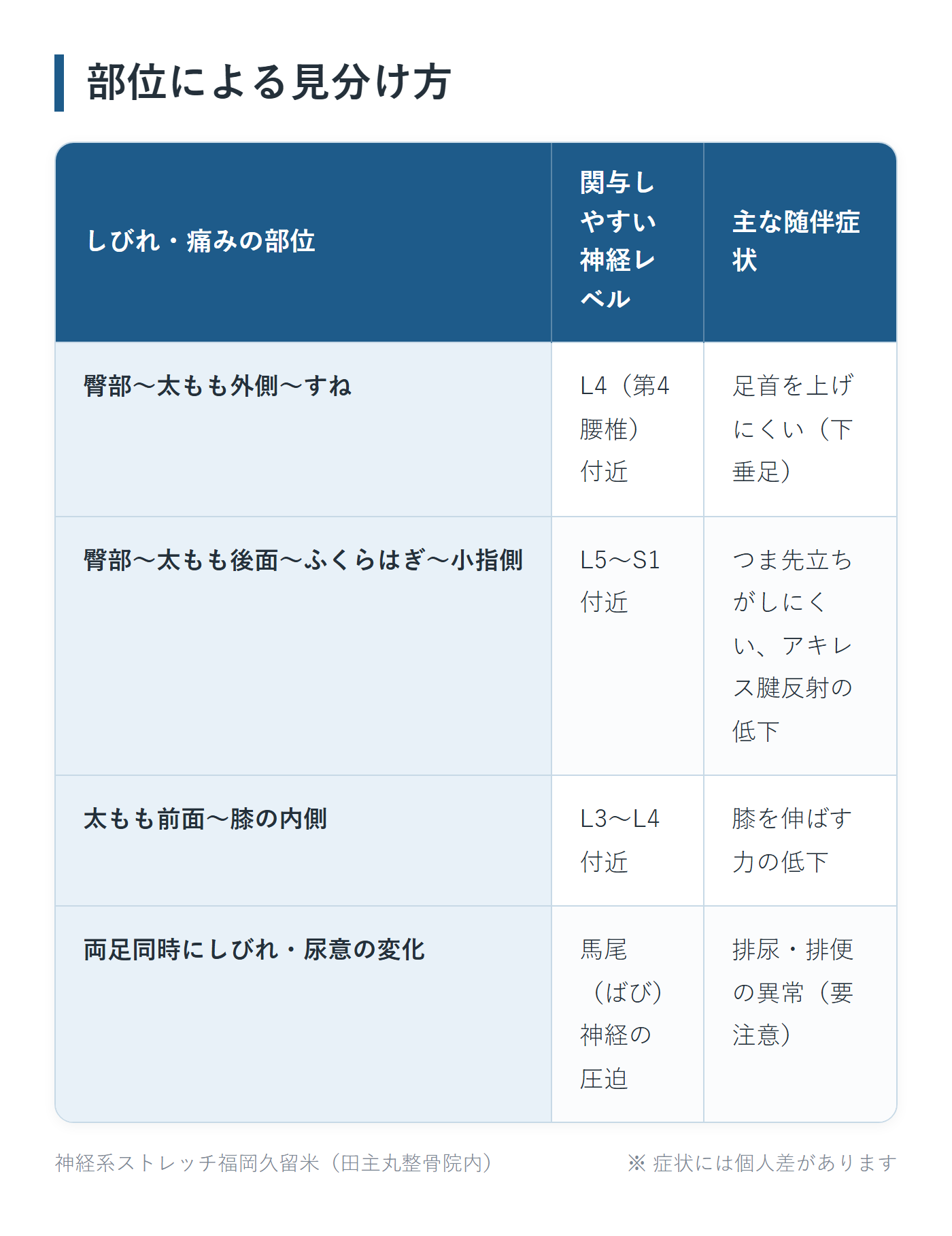 部位による見分け方の一覧表。臀部〜太もも外側〜すね、臀部〜太もも後面〜ふくらはぎ〜小指側、太もも前面〜膝の内側、両足同時にしびれ・尿意の変化の4パターンについて、関与しやすい神経レベルと主な随伴症状をまとめた図。
