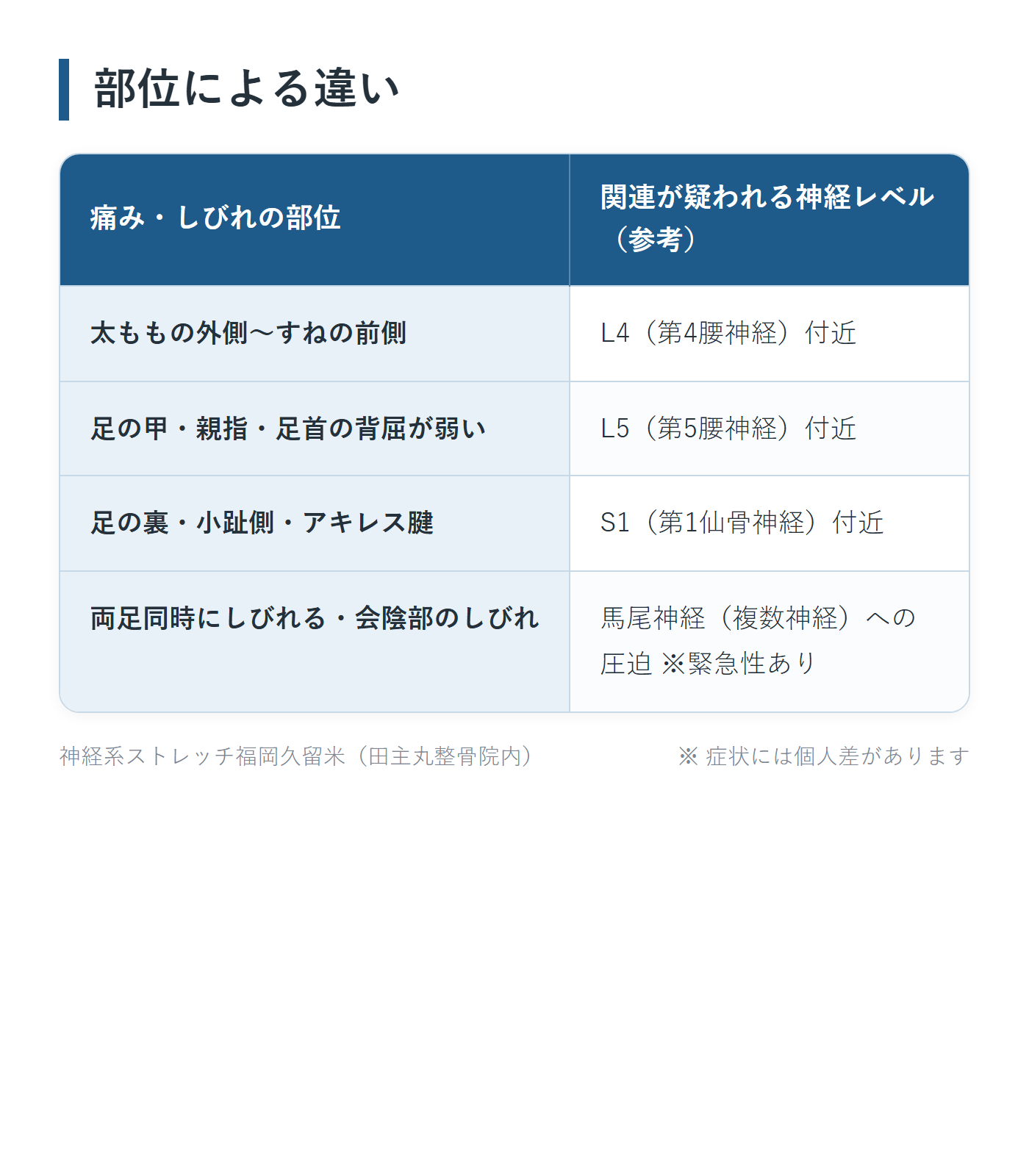 部位による違いの一覧表。太ももの外側〜すねの前側、足の甲・親指・足首の背屈が弱い、足の裏・小趾側・アキレス腱、両足同時にしびれる・会陰部のしびれの4パターンについて、関連が疑われる神経レベル(参考)をまとめた図。