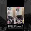 腕を上げるたびに痛む四十肩｜兼子ただし神経系ストレッチで改善解消！｜大分県九重町からも来院の神経整体